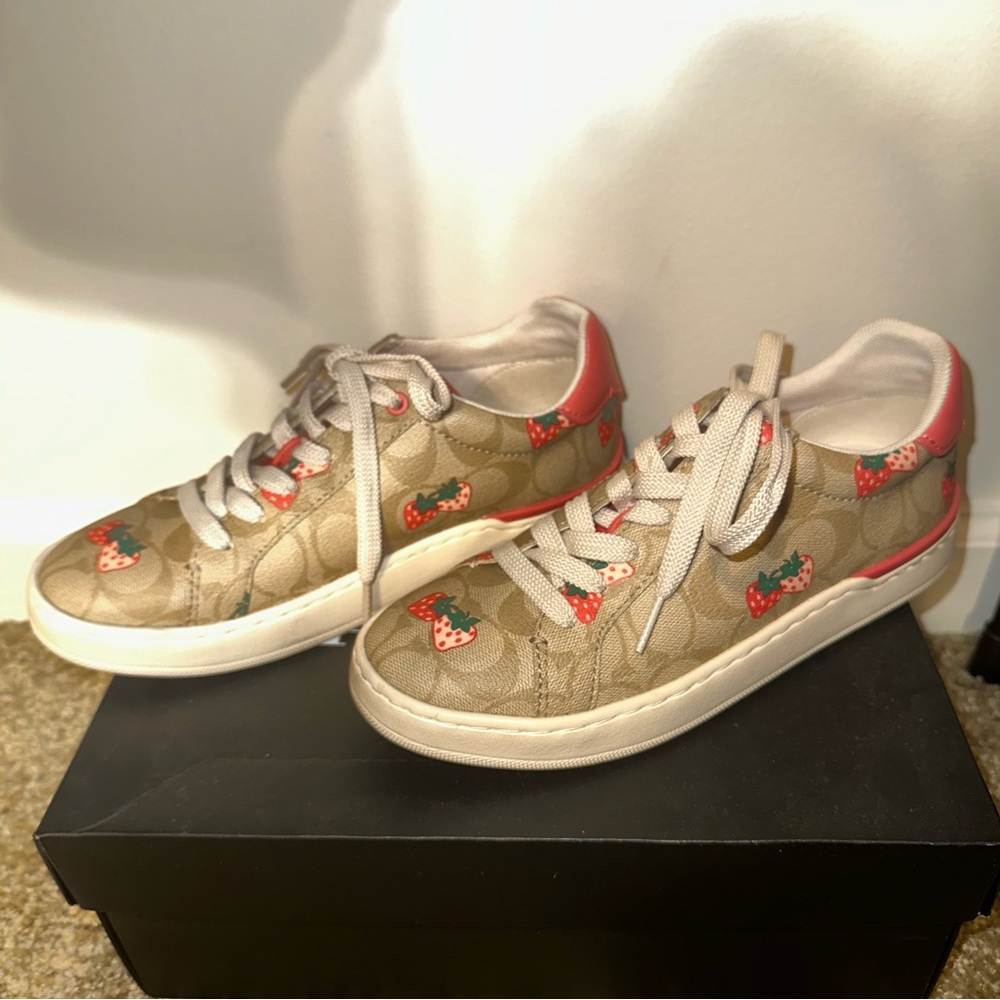 Coach Sneakers Berry Low top